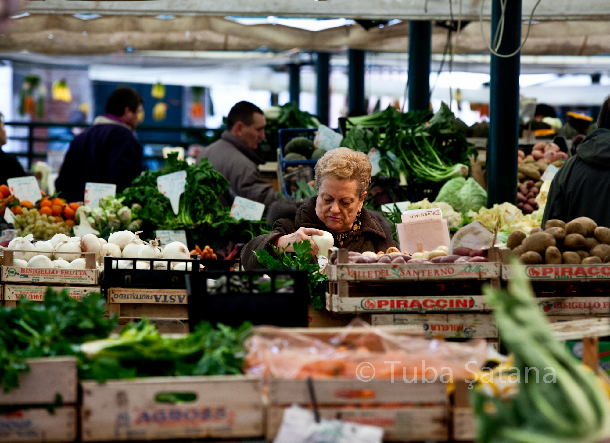 venezzia mercato
