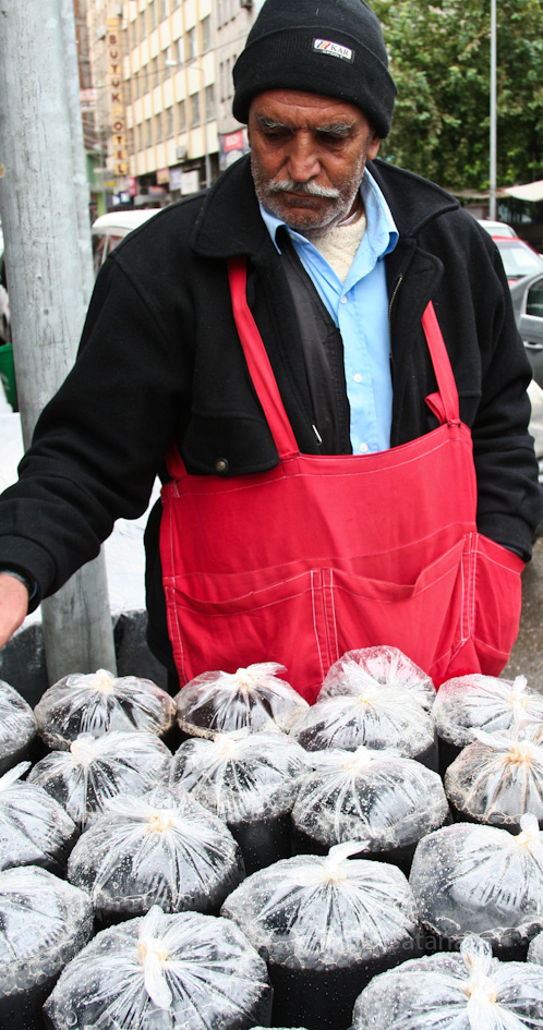 meyaknkökü şerbeti, street food at Diyarbakır, by Tuba Şatana